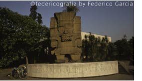 federicografia's hometown